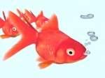 オーガニック
